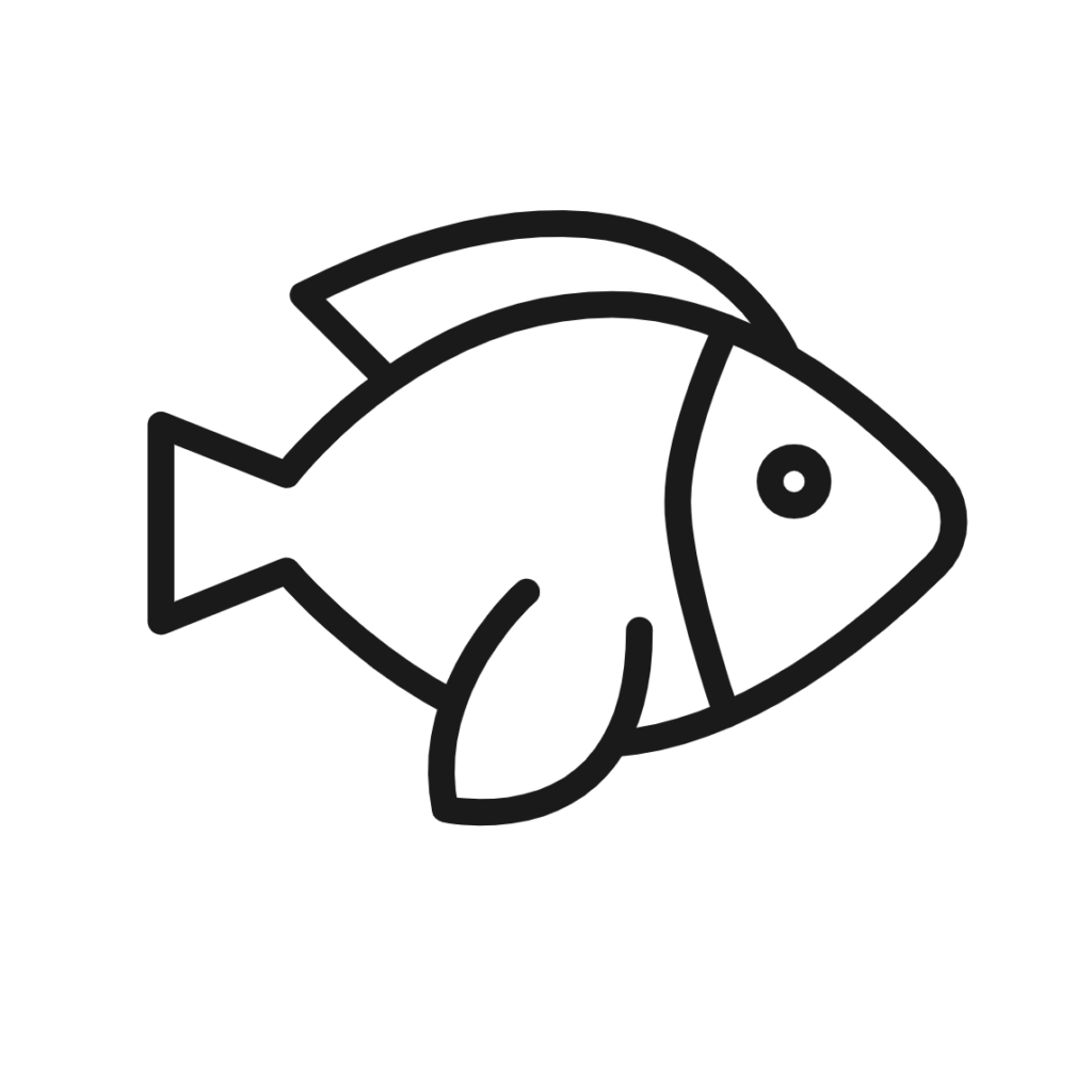 Fish Cool Easy Drawing Ideas For Beginners